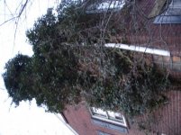 DSC01352.jpg