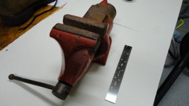 DSC01116.jpg