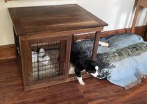 puppy crate 5.jpg