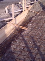IMG-20121120-00237.jpg