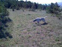 IMG_2221.jpg