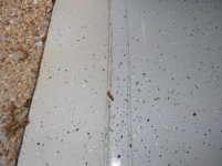 DSCN3198.jpg