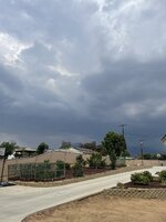 IMG_4433.JPG