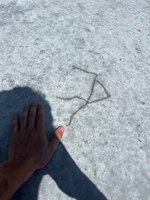 IMG_9839.jpg IMG_9839.jpg