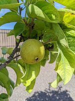 PXL_20220806_160917159.jpg