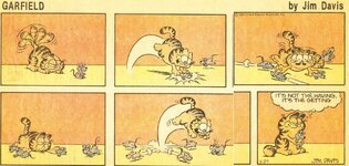 garfield.jpg