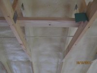 IMG_0617.jpg