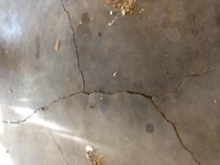 photo (3).jpg