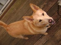 Brody1.jpg