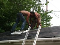 Roof2.jpg