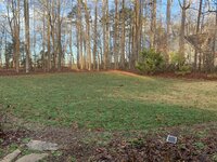 IMG_2435.JPEG