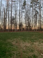 IMG_2471.JPEG