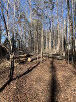 IMG_2491.JPEG