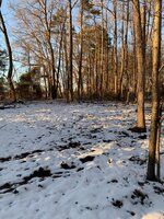 IMG_2559.JPEG
