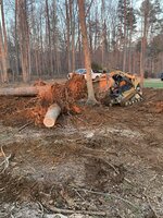 IMG_2627.JPEG
