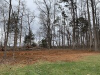 IMG_2637.JPEG