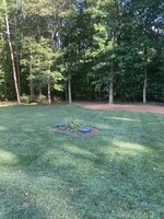 IMG_3232.JPEG