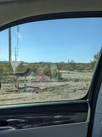 IMG_20220822_184335.jpg