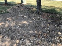 IMG_2966.jpg IMG_2966.jpg