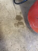 43E48F2A-F152-4989-B118-6127F662F245.jpeg