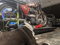 lucy-shop-bsa.jpg lucy-shop-bsa.jpg