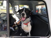 apache_lucy_steering.jpg apache_lucy_steering.jpg