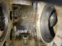 IMG_8783.jpeg IMG_8783.jpeg