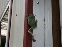 IMG_3226.jpg IMG_3226.jpg