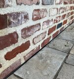 IMG_8568.jpeg