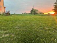 IMG_9325.jpg