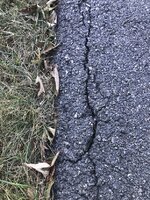 driveway2.jpg