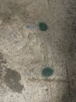 CEAAFFA2-4F0E-4C37-8204-E883EBCB9060.jpeg
