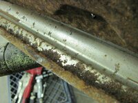 Picture387.jpg