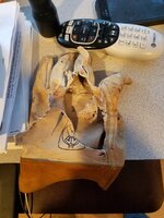 20181230_153224.jpg