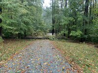 IMG_3435.JPEG