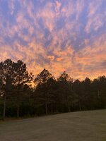 IMG_3426.JPEG