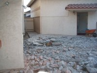 Back yard 028.jpg