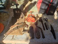 IMG_20221007_163009.jpg