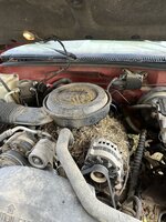 IMG_4168.jpg