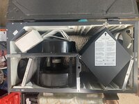IMG_8380.JPEG