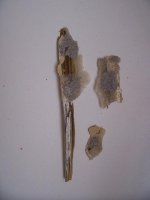000_1028.JPG