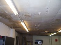LexandBraydenandGarageceiling 001.jpg