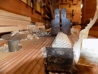 DSCN7533.JPG