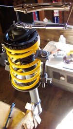 struttop2.jpg struttop2.jpg