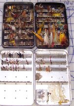T5 Boxes.jpg T5 Boxes.jpg