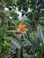Olbrich Arboretum6.jpg
