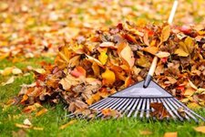 leaf-rake-400x267[1].jpg