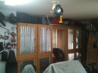 IMG_0883.jpg