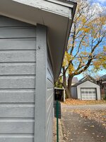 IMG_0317.jpg
