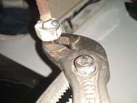 IMG_20220819_200722874.jpg